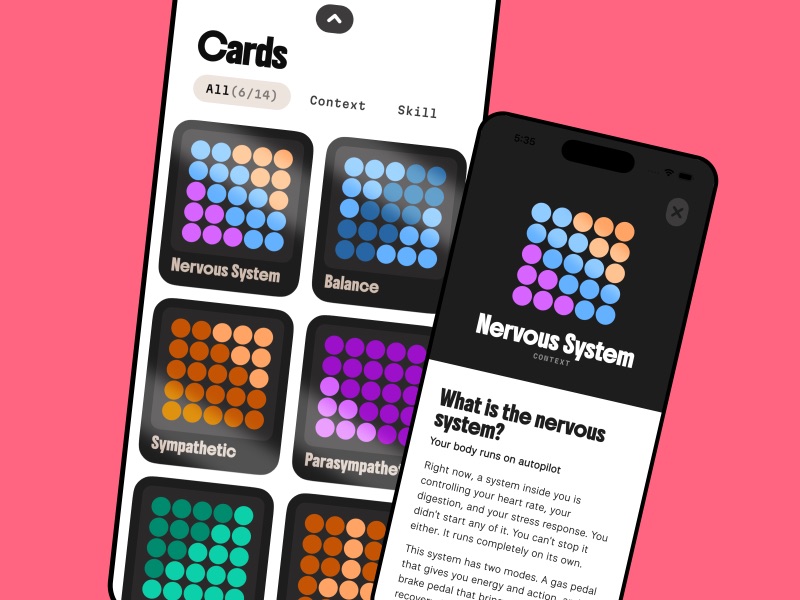 Your arsenal of cards.