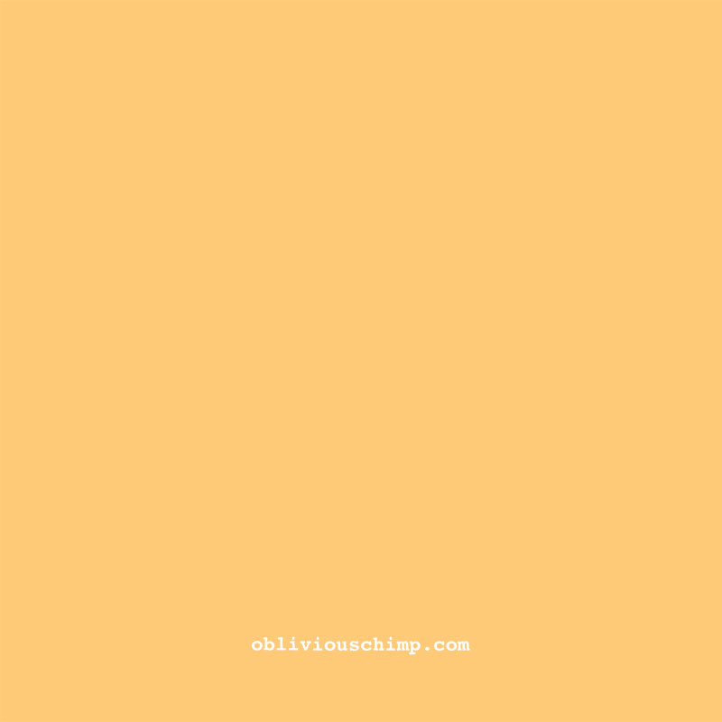 Shush Robot! — back cover